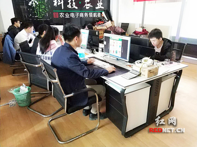 輸血變造血 衡陽市雁峰區以計算機技術培訓為抓手，走深走實產業扶貧路